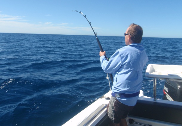 Chris Cleaver with his recently caught and released hybrid cod he likes to call a Murrout (cross between a Murray and trout cod).